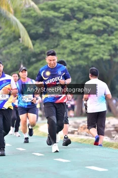 Runner Photo 4311159