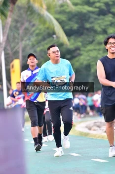 Runner Photo 4311161
