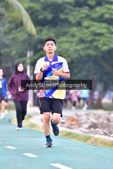 Runner Photo 4311171