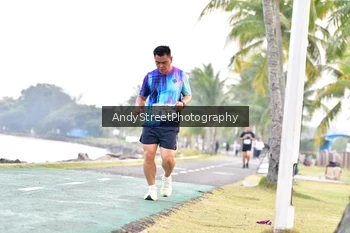 Runner Photo 4311199
