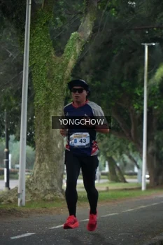 Runner Photo 4311380