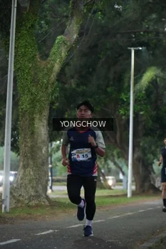 Runner Photo 4311385
