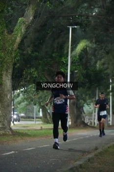 Runner Photo 4311389
