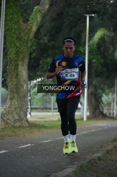 Runner Photo 4311395