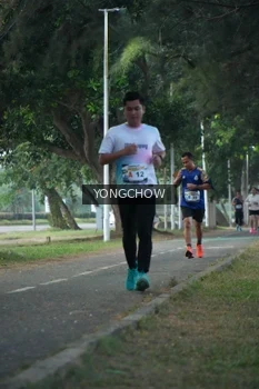 Runner Photo 4311414
