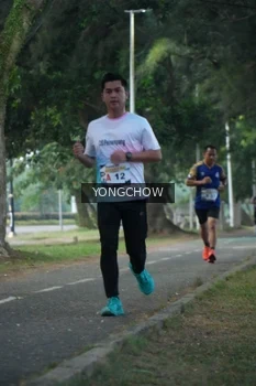 Runner Photo 4311421