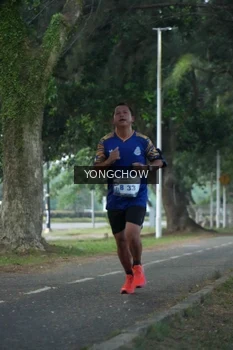 Runner Photo 4311423