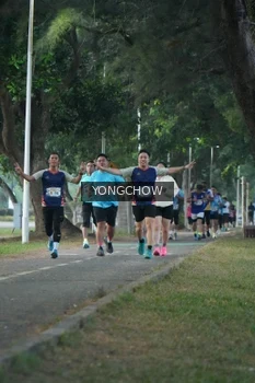 Runner Photo 4311428