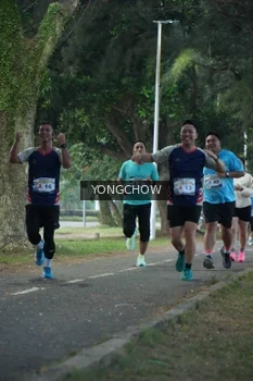 Runner Photo 4311435