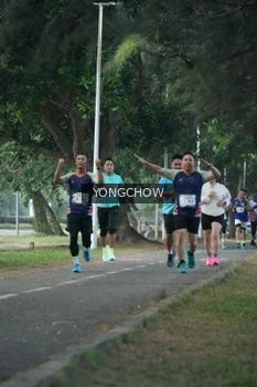 Runner Photo 4311436