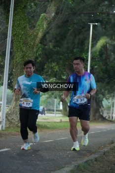 Runner Photo 4311455