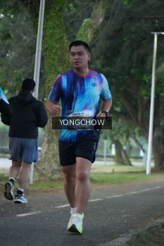 Runner Photo 4311467