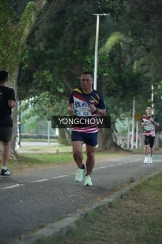 Runner Photo 4311479