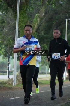 Runner Photo 4311493