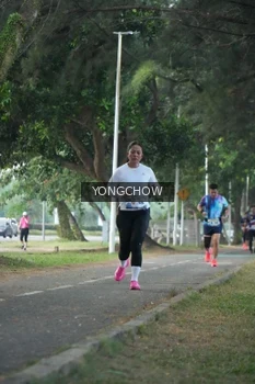 Runner Photo 4311531