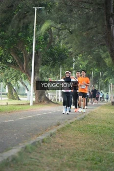 Runner Photo 4311588