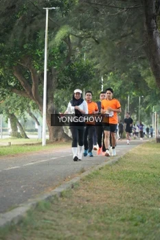 Runner Photo 4311590
