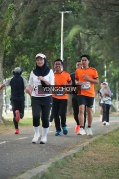Runner Photo 4311596