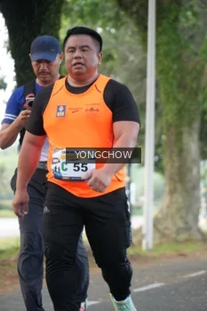 Runner Photo 4311608
