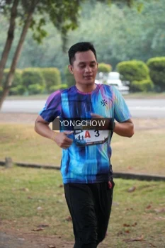 Runner Photo 4311634