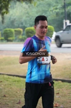 Runner Photo 4311636