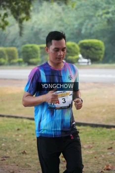 Runner Photo 4311637