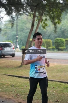 Runner Photo 4311647