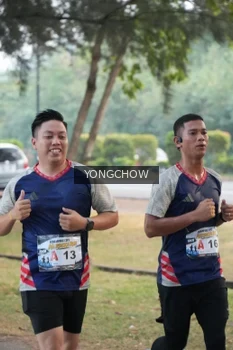 Runner Photo 4311656