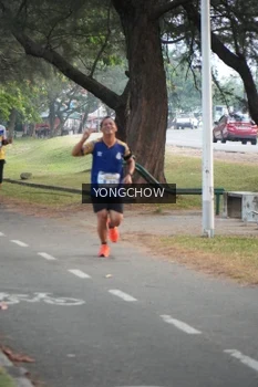 Runner Photo 4311664