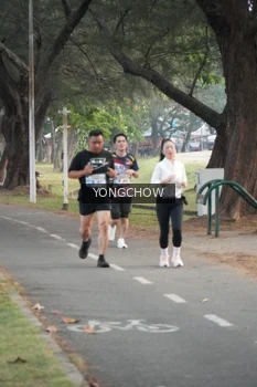 Runner Photo 4311736