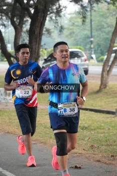 Runner Photo 4311799