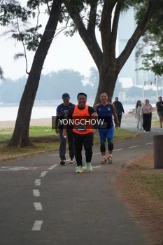 Runner Photo 4311845