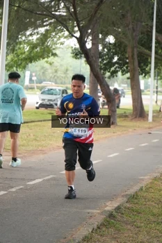 Runner Photo 4311929