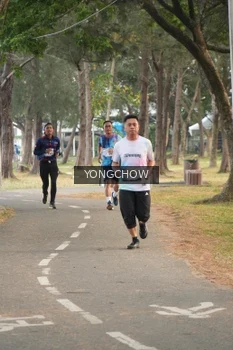 Runner Photo 4312379