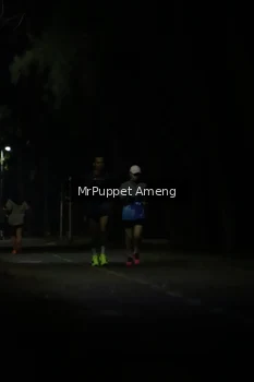 Runner Photo 4312542
