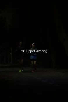 Runner Photo 4312543