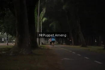 Runner Photo 4312550