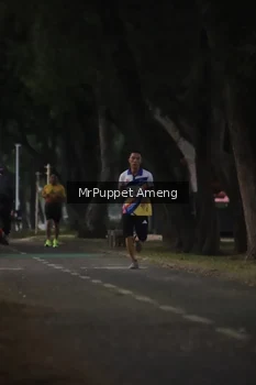 Runner Photo 4312559