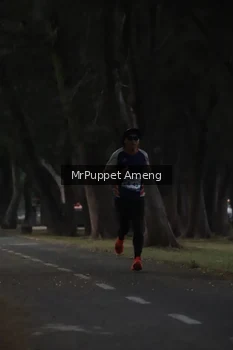 Runner Photo 4312576