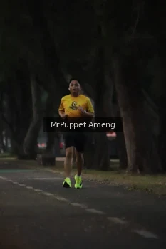 Runner Photo 4312580