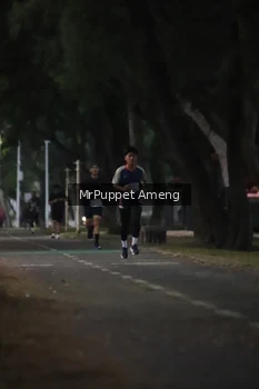Runner Photo 4312583