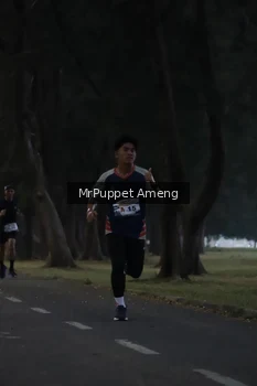 Runner Photo 4312587