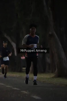 Runner Photo 4312589