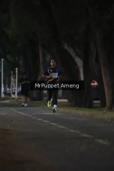 Runner Photo 4312594