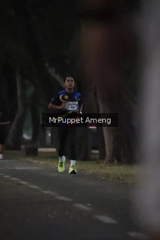 Runner Photo 4312596