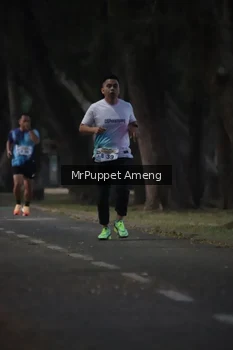 Runner Photo 4312601