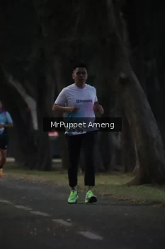 Runner Photo 4312602
