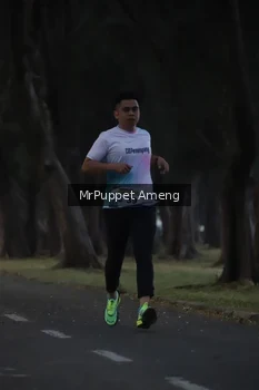 Runner Photo 4312604