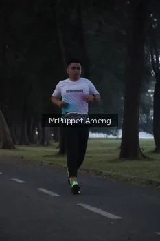 Runner Photo 4312605