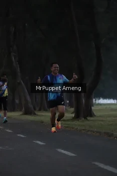 Runner Photo 4312610